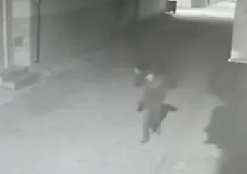 Şanlıurfa’da gece yarısı akılalmaz olay! Hırsızın kimliği polisleri bile şoke etti