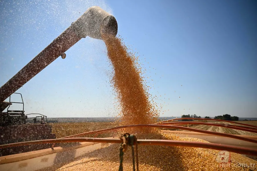 Tarım ve Hayvancılık Destek Paketi Başvuru 2025 | Şartları neler, ne kadar ödenecek? 1