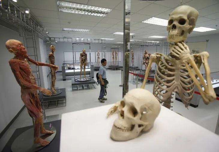 İlk insan vücudu müzesi açıldı