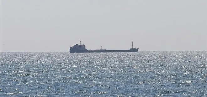 Rusya’dan 300 bin ton buğday taşıyan 2 gemi Pakistan’a ulaştı