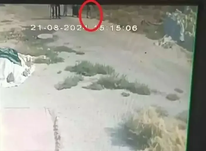 1724676547370.jpeg 8 yaşındaki Narin'i arama çalışmalarının 6'ncı gününde: En son görüldüğü noktada canlandırma - 4