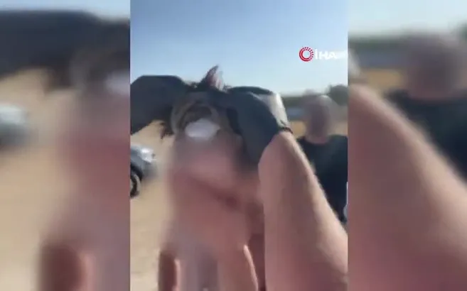 Protez saçtan uyuşturucu çıktı