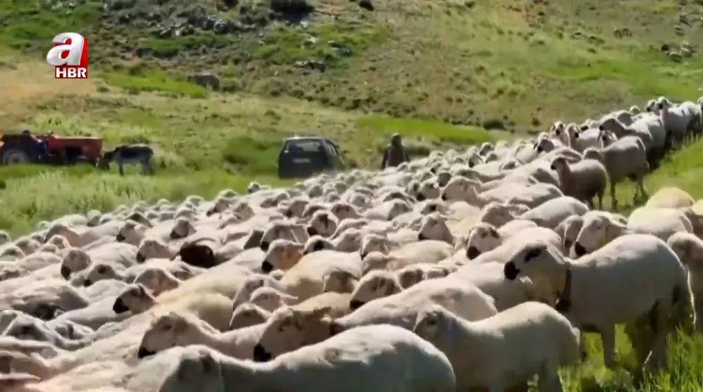 1 asırlık yayla geleneği