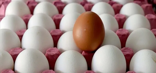 Tarım ve Orman Bakanlığından kanserojen madde içeren yumurta iddiasıyla ilgili açıklama
