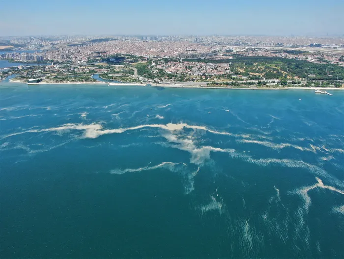 Son dakika: Çevre ve Şehircilik Bakanı Murat Kurum açıkladı: Toplamda 733,1 metreküp müsilajı bertarafa gönderdik