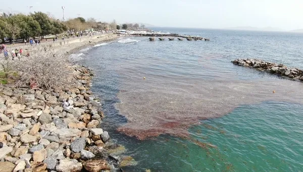 caddebostanda-deniz-2-metre-cekildi-yer-yer-kirlilik-goruldu-1648909631477.jpg Caddebostan’da deniz 2 metre çekildi! Yer yer kirlilik görüldü - 1