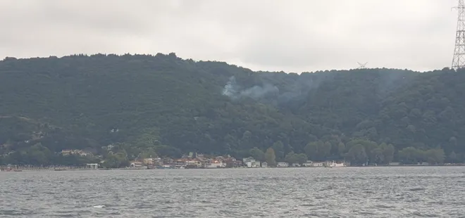 Son dakika: Beykoz’da orman yangını