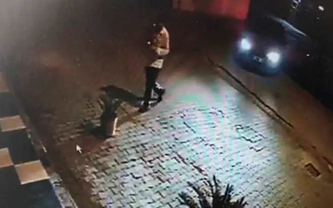 Adana’da şaşırtan olay! Lüks araçla gelip saksıdaki bitkiyi çaldılar