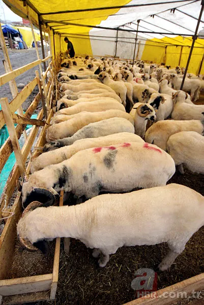 Kurban Bayramı tatili 2019 kaç gün olacak? Kurban Bayramı tatili ne zaman hangi günler? 3