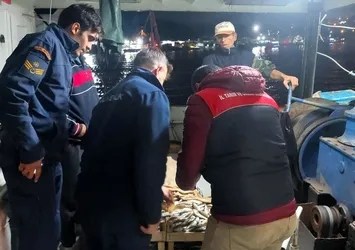 Kıyıköy'de çinekop ve istavrit bolluğu!