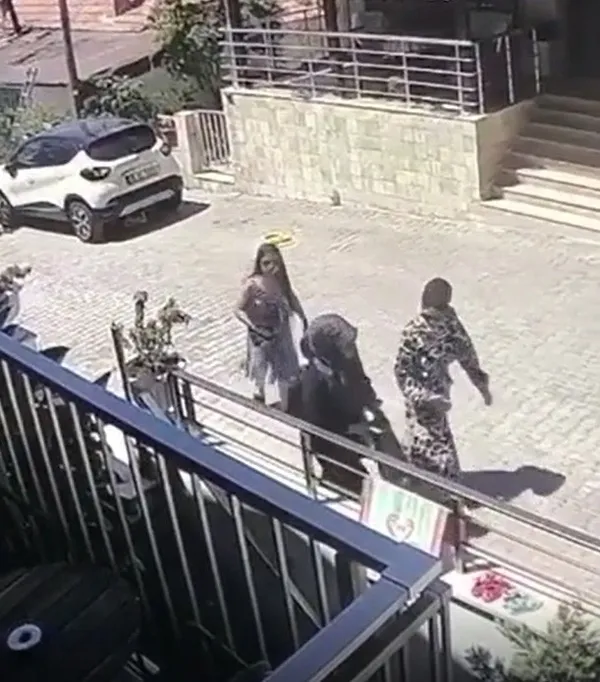 aydinda-pes-dedirten-olay-duvarin-ustundeki-cep-telefonunu-caldi-1657093906899.jpg Aydın’da pes dedirten olay! Duvarın üstündeki cep telefonunu çaldı - 1