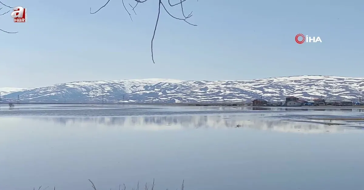 Ardahan'da dağların zirvesi beyaza büründü
