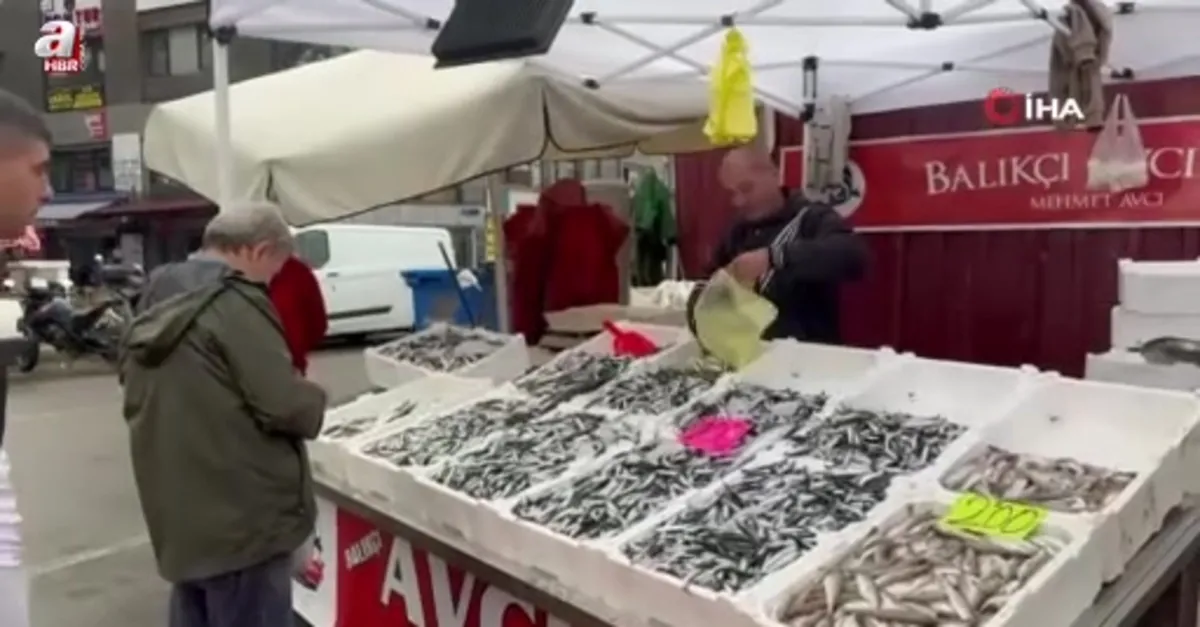Hamsinin fiyatı 100 liraya düştü