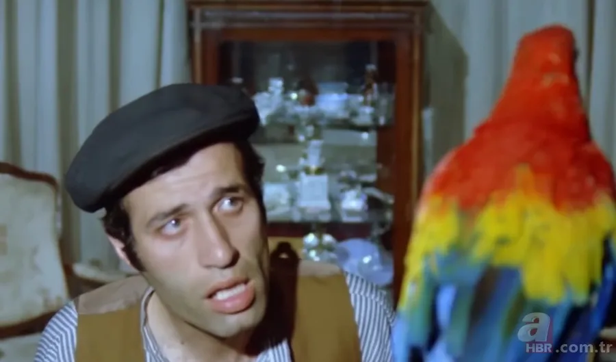 Kemal Sunal'ın filmideki papağan Ziya'yı bakın kim seslendirmiş! 5