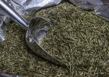 Kolesterolün ilacı meğer buymuş! Tıkanan damarları tek seferde açıyor...