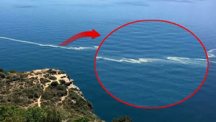 Antalya’da denizdeki sarı tabakanın polen tozu olduğu ortaya çıktı - 3