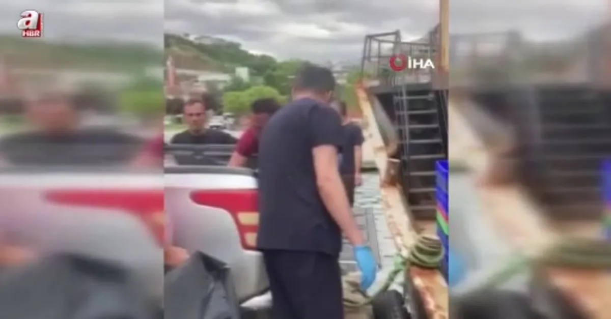 6 ton kaçak kalkan balığı ele geçirildi