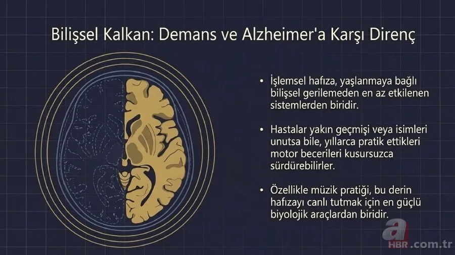 Beynin gizli arşivi: Zihin unutsa bile vücut hatırlıyor! Kas hafızası nedir? 7