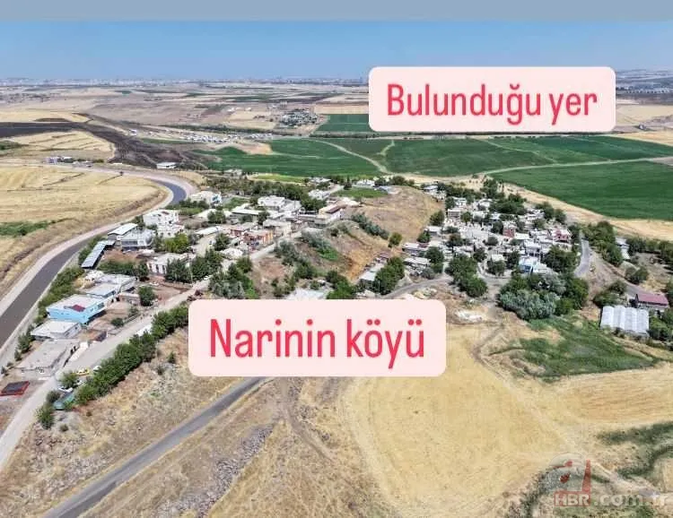 Narin cinayetinde itiraflar: Narin neden öldürüldü, kim öldürdü? 2