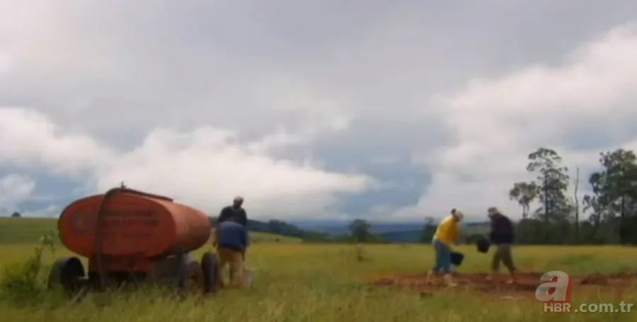 Karınca yuvasından sanat eseri çıktı 🐜 Vahşi doğanın usta mimarları! Otoban, yan yol ve patika bile yapmışlar 7
