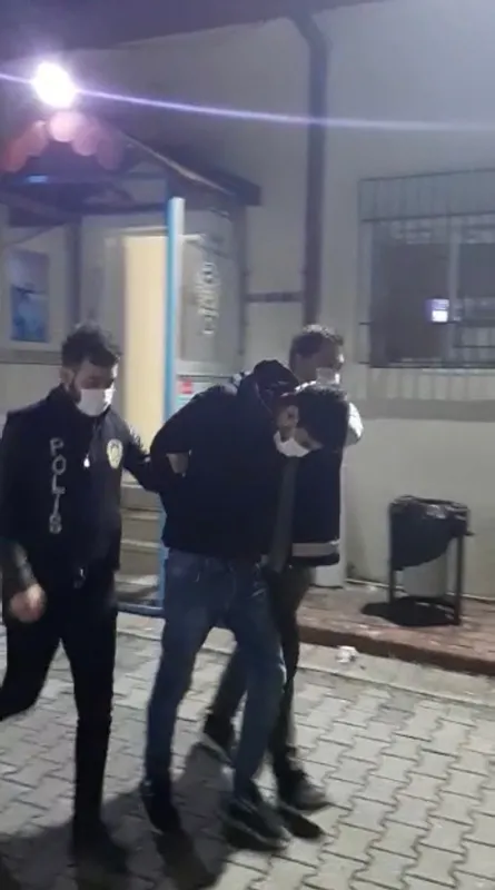 İstanbul’da dev bonzai operasyonu: 74 kilogram ele geçirildi