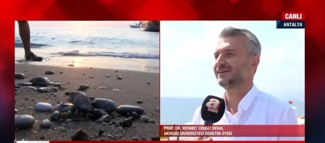 Otellerde ahşap yürüme bandı tehlikesi! Oteller carettalar için hangi önlemleri almalı? - 4