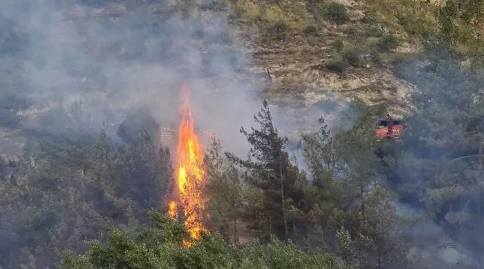 Son dakika: Karabük'te ormanlık alanda yangın - 1