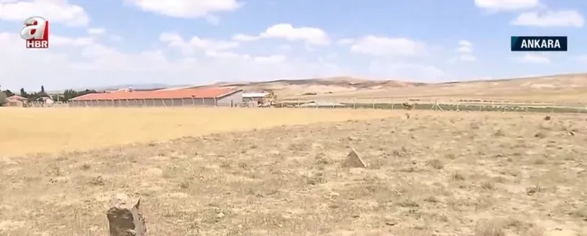 mezarligi-tarim-arazisi-yaptilar-eski-mezarliga-buyuk-saygisizlik-1625562514943.jpg Mezarlığı tarım arazisi yaptılar! Eski mezarlığa büyük saygısızlık - 2