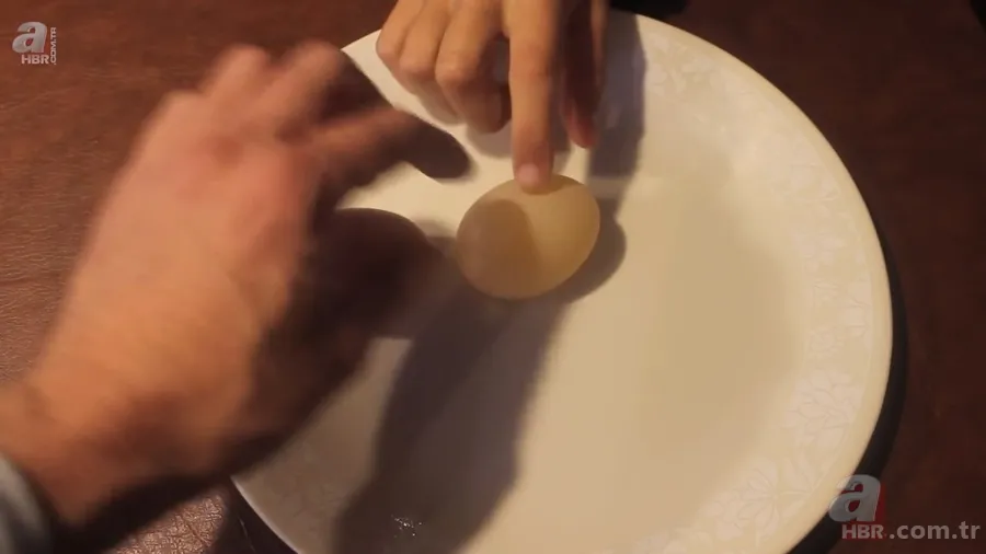 Beslediği tavuğun yumurtasını almak için kümese girdi! Yumurtayı eline alınca gözlerine inanamadı 18