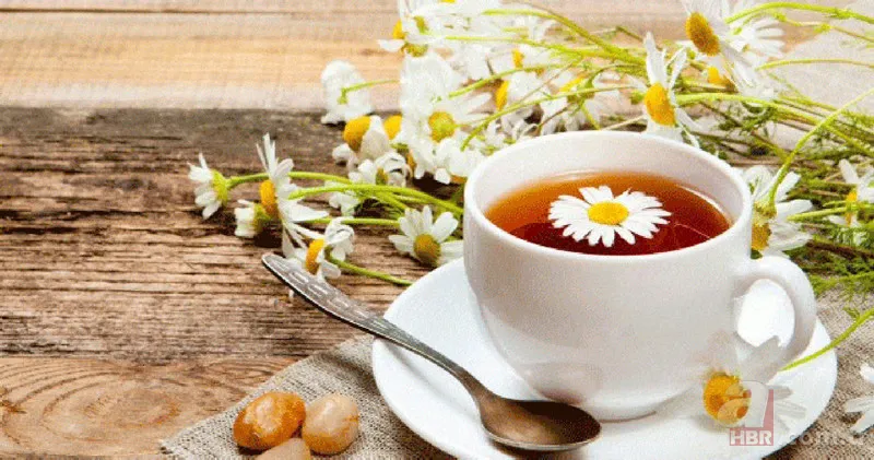 İbn-i Sina'dan Migren ağrısını tarumar edecek reçete! Baş ağrınızı silip atacak asırlık tedavi! Meğer bu iki çiçeğin tek damlası... 6