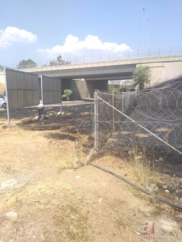 Aydın'da araç içinden atılan sigara yangına sebep oldu 1