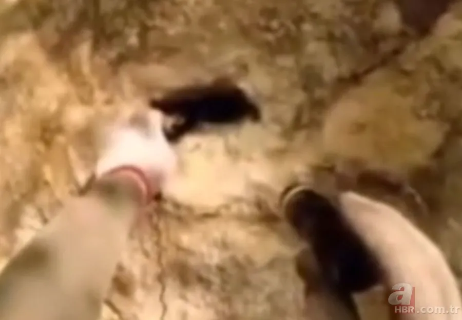 ''Defineyi koruyan yılan'' efsanesi gerçek oldu! Taş kesilmiş yılanın hikayesi ürküttü 12