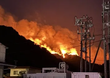 Japonya’da orman yangını! 1 eyalete daha sıçradı