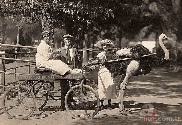 Dünyanın en acayip yılı tüylerinizi diken diken edecek! 1917'de meğer her şey... 3