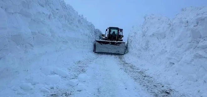 Van'da mahalle yoluna çığ düştü!