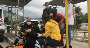 Otomobil otobüs durağına daldı