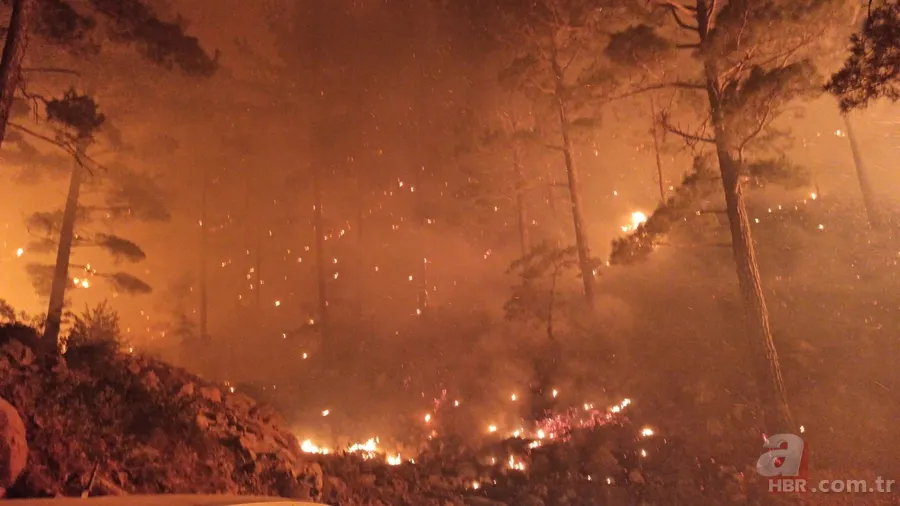Manavgat'tan sonra şimdi de Mersin! Korkutan yangın 6