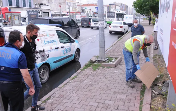 kayseride-dehset-parkta-gozleri-oyulmus-olu-kopek-bulundu-1628762722954.jpg Kayseri’de dehşet! Parkta gözleri oyulmuş ölü köpek bulundu - 1
