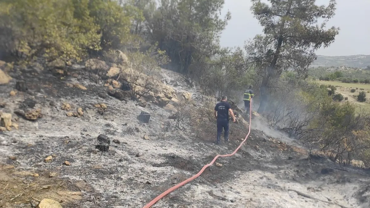 Hatay Yayladağı’nda orman yangını kontrol altına alındı