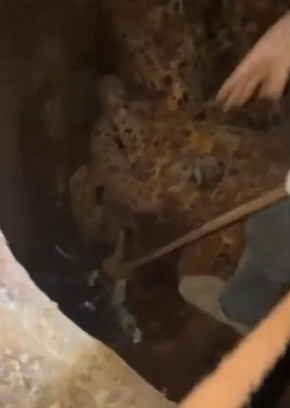 Narkogüç Operasyonları devam ediyor! Berge Torre isimli kuru yük gemisinde ele geçirildi | Bakın nereye saklamışlar