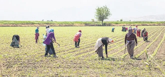 Çiftçi ve esnafa yeni kredi desteği geliyor