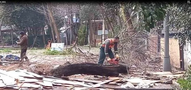 CHP’li İBB genişletme bahanesiyle Kartal’da ağaçları kesti! 2 aydır tek çivi dahi çakmadı