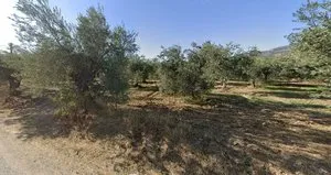 CHP’li belediyeden parsel parsel çevre katliamı!