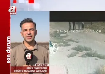 Narin Güran cinayetinde özel detaylar A Haber'de: Görüntüyü bizzat kendim izledim