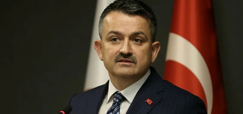 Tarım ve Orman Bakanı Bekir Pakdemirli'den buğday açıklaması