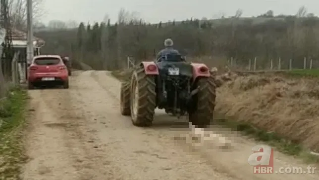 Bursa'da hamile köpeği tüfekle öldürdükten sonra sürükleyen cani serbest bırakıldı 2