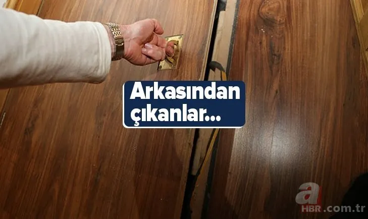 Araknofobisi olanlar dikkat! İnternetten satışa çıkardılar: Tanesi 2 bin 500 TL