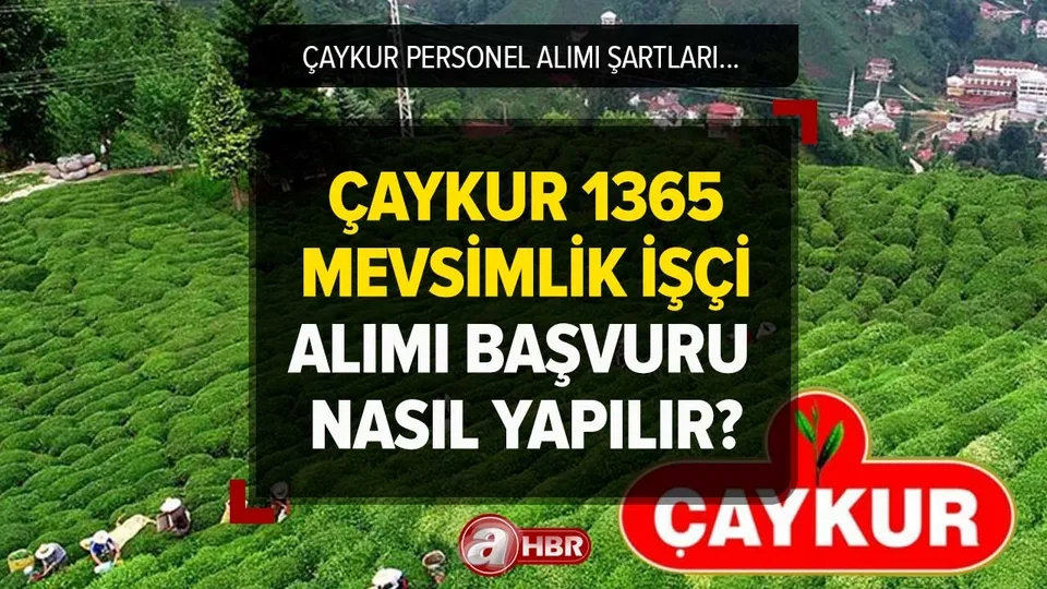 ÇAYKUR 1365 MEVSİMLİK İŞÇİ ALIMI 2023 | ÇAYKUR personel alımı başvuru nasıl yapılır, şartları neler?