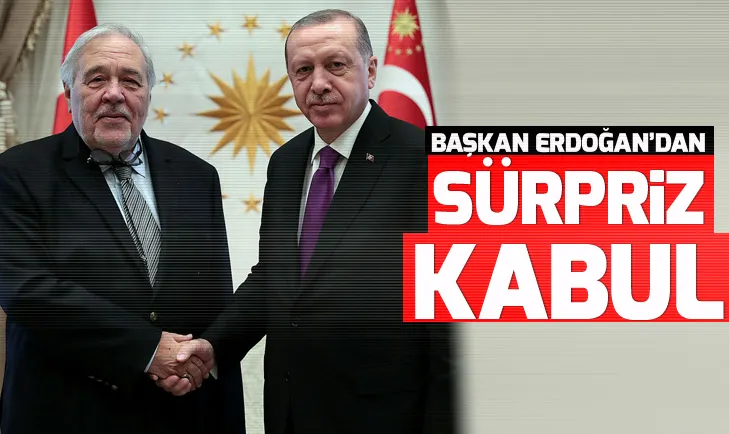 Başakan Erdoğan ile İlber Ortaylı görüştü