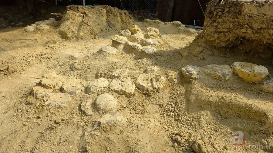 70 milyon yıl sonra bulundu: Yüzlerce dinozor yumurtası bir arada 4